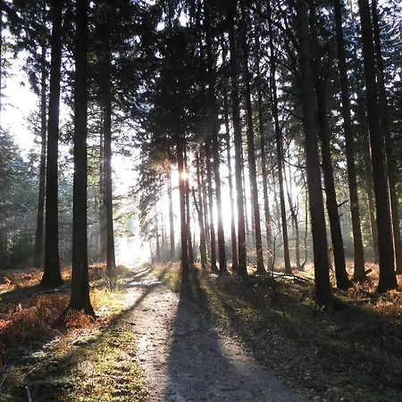 Holiday home An Der Grenze Zu Hamburg Zentrale Lage Neu Wulmstorf