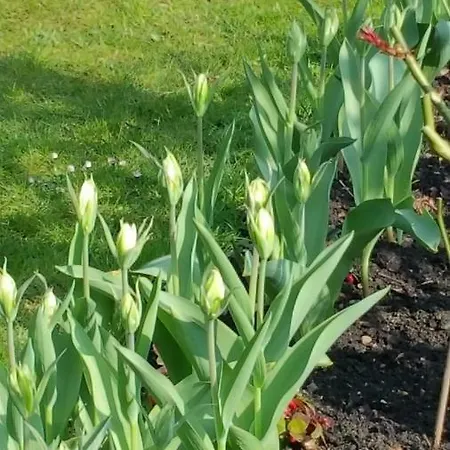 An Der Grenze Zu Hamburg Zentrale Lage Holiday home