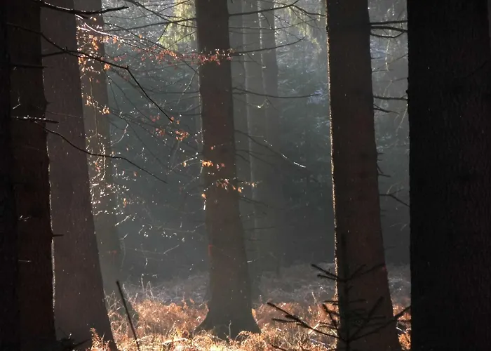 An Der Grenze Zu Hamburg Zentrale Lage Neu Wulmstorf